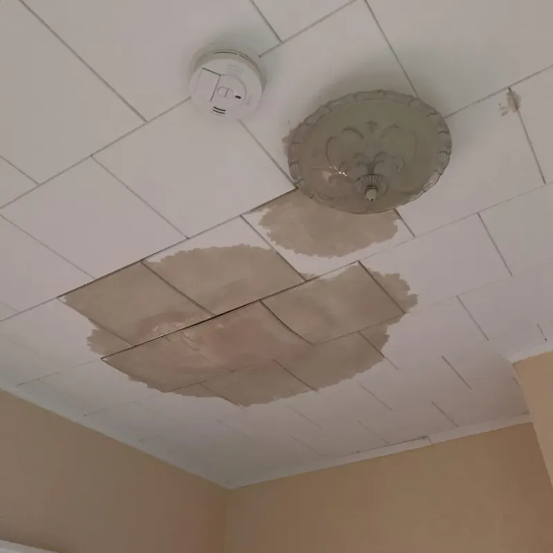 Ceiling Water Damage Repair in La Fermina, PR