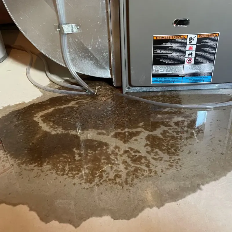 Pipe Burst and Leak Restoration in La Fermina, PR